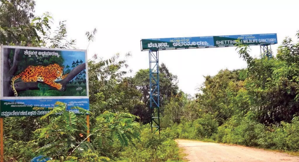ಒತ್ತುವರಿ ತೆರವಿಗೆ ಅರಣ್ಯ ಇಲಾಖೆಯಿಂದ ನೋಟಿಸ್: ಶೆಟ್ಟಿಹಳ್ಳಿ ಅಭಯಾರಣ್ಯ ವ್ಯಾಪ್ತಿಯ ರೈತರಲ್ಲಿ ಆತಂಕ ಒತ್ತುವರಿ ತೆರವಿಗೆ ಅರಣ್ಯ ಇಲಾಖೆಯಿಂದ ನೋಟಿಸ್: ಶೆಟ್ಟಿಹಳ್ಳಿ ಅಭಯಾರಣ್ಯ ವ್ಯಾಪ್ತಿಯ ರೈತರಲ್ಲಿ ಆತಂಕ