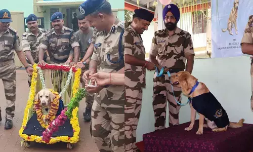 ಮಂಗಳೂರು ಅಂತರ್‌ರಾಷ್ಟ್ರೀಯ ವಿಮಾನ ನಿಲ್ದಾಣದ ಭದ್ರತಾ ವಿಭಾಗದ ಶ್ವಾನ ‘ಜ್ಯೂಲಿ’ಗೆ ವಿದಾಯ; ʼರಿಯೊʼ ಆಗಮನ