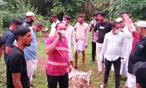 ಭಟ್ಕಳ: ನೇಣು ಬಿಗಿದ ಸ್ಥಿತಿಯಲ್ಲಿ ಅಸ್ಥಿಪಂಜರ ಪತ್ತೆ