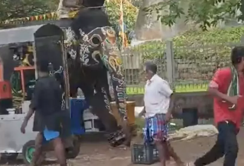 ಶ್ರೀರಂಗಪಟ್ಟಣ ದಸರಾ: ಅಂಬಾರಿ ಮೆರವಣಿಗೆಗೆ ಮುನ್ನ ಅಡ್ಡಾದಿಡ್ಡಿ ಓಡಿ ಆತಂಕ ಸೃಷ್ಠಿಸಿದ ಆನೆ