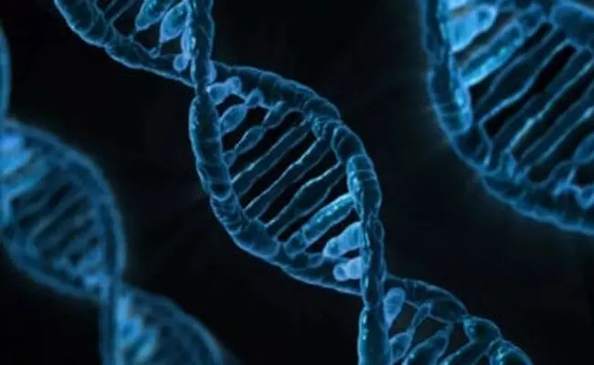 ಪ್ರಾಚೀನ ಭಾರತೀಯ ಸಮುದಾಯಗಳ ಮೂಲ ಪತ್ತೆ ಹಚ್ಚಲು ಆಧುನಿಕ ಜೆನೊಮಿಕ್ಸ್ ಬಳಸಿ ಸರಕಾರದಿಂದ ಅಧ್ಯಯನ ಪ್ರಾಚೀನ ಭಾರತೀಯ ಸಮುದಾಯಗಳ ಮೂಲ ಪತ್ತೆ ಹಚ್ಚಲು ಆಧುನಿಕ ಜೆನೊಮಿಕ್ಸ್ ಬಳಸಿ ಸರಕಾರದಿಂದ ಅಧ್ಯಯನ