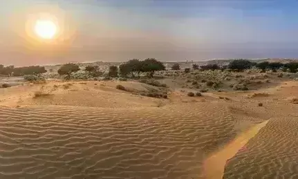 ಥಾರ್ ಮರುಭೂಮಿಯಲ್ಲಿ 20 ವರ್ಷಗಳಿಂದ ಅಧಿಕ ಮಳೆ!