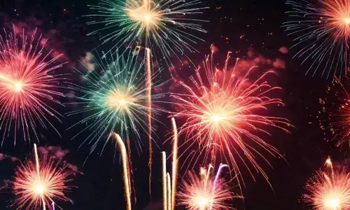 ಜ.1 ರವರೆಗೆ ಪಟಾಕಿ ಉತ್ಪಾದನೆ, ಮಾರಾಟ ನಿಷೇಧಿಸಿದ ದಿಲ್ಲಿ ಮಾಲಿನ್ಯ ನಿಯಂತ್ರಣ ಸಮಿತಿ