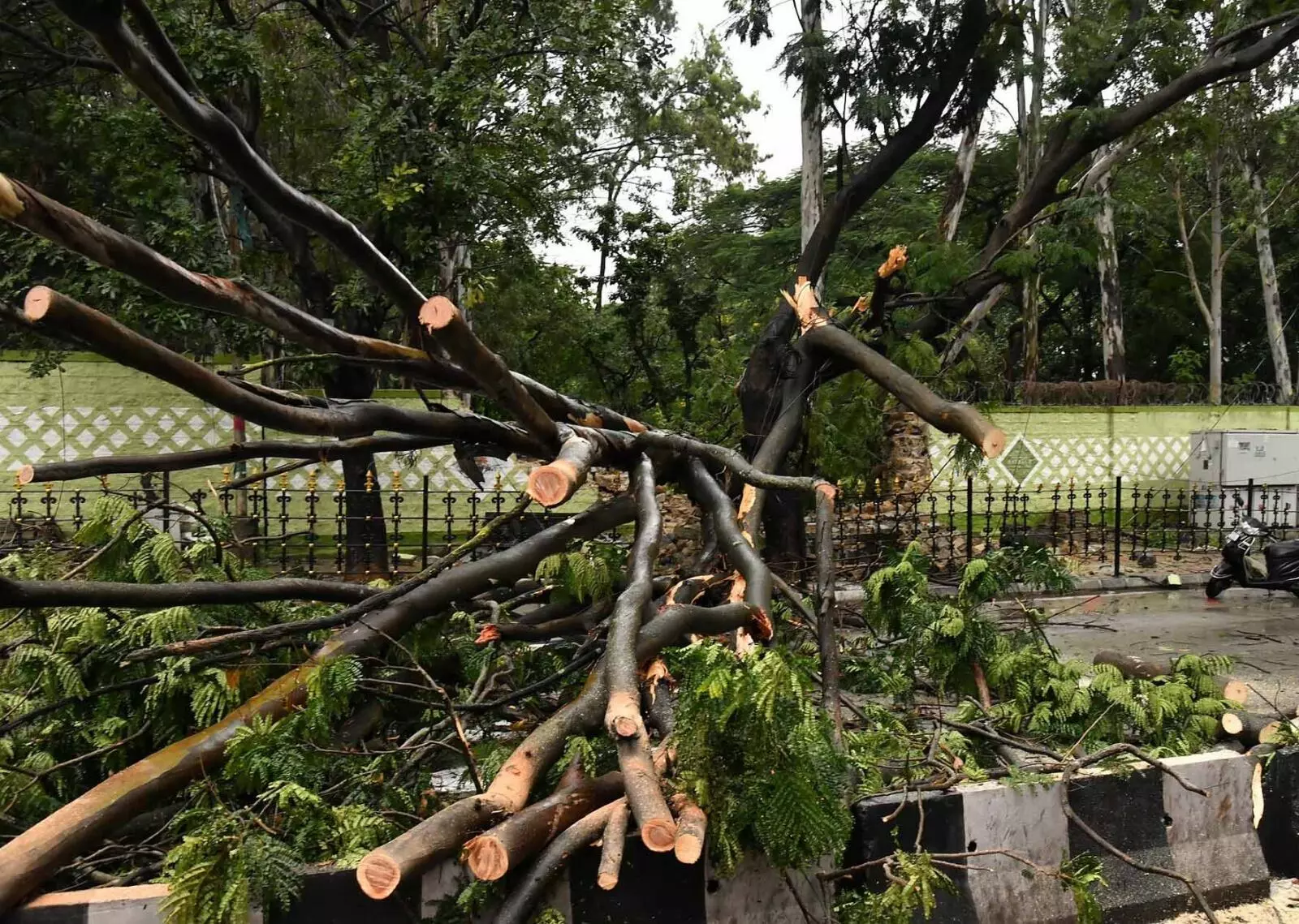 PHOTOS | ಭಾರೀ ಮಳೆಗೆ ತತ್ತರಿಸಿದ ಬೆಂಗಳೂರು; ಜನಜೀವನ ಅಸ್ತವ್ಯಸ್ತ