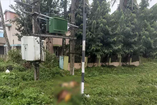 ಬೇಲೂರು: ವಿದ್ಯುತ್ ಸ್ಪರ್ಶಿಸಿ ಎರಡು ಕುರಿಗಳು ಸ್ಥಳದಲ್ಲೇ ಸಾವು