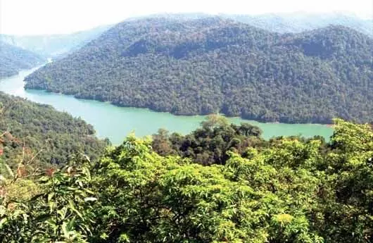 ಪುನರ್ವಸತಿ, ಭೂ ಹಕ್ಕಿನ ಚಳವಳಿಗೆ ಮಲೆನಾಡು ಸಜ್ಜು