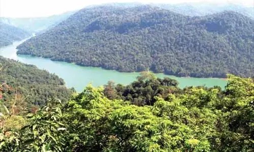 ಪುನರ್ವಸತಿ, ಭೂ ಹಕ್ಕಿನ ಚಳವಳಿಗೆ ಮಲೆನಾಡು ಸಜ್ಜು