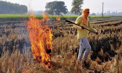 ಹರ್ಯಾಣ | ಬೆಳೆ ಕೂಳೆ ದಹನ ; 14 ರೈತರ ಬಂಧನ