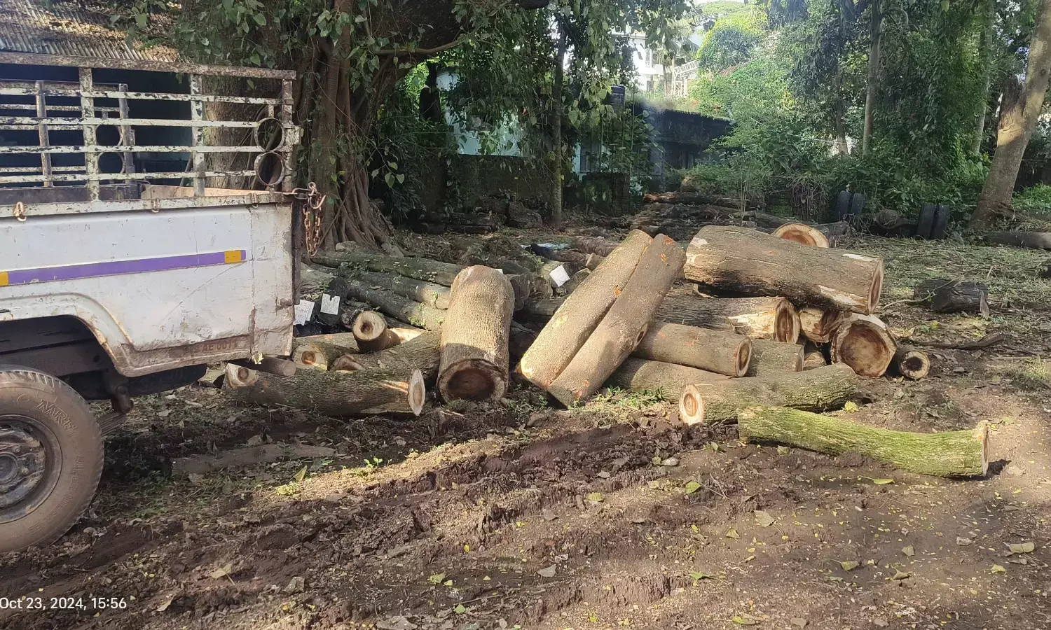 ಮಂಗಳೂರು: ಸರಕಾರಿ ಮರದ ದಿಮ್ಮಿ ಅಕ್ರಮ ಸಾಗಾಟದ ಆರೋಪ