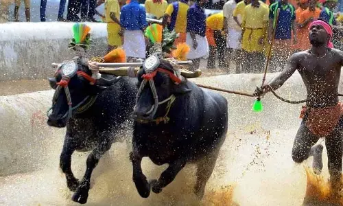 ಬೆಂಗಳೂರಿನಲ್ಲಿ ಅ.26ಕ್ಕೆ ಕಂಬಳ ನಡೆಸುತ್ತಿಲ್ಲ : ಹೈಕೋರ್ಟ್‌ಗೆ  ಮಾಹಿತಿ ನೀಡಿದ ಕಂಬಳ ಸಮಿತಿ