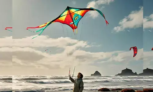 ಗಾಳಿಪಟಕ್ಕೆ ಹತ್ತಿದಾರ ಬಳಸುವಂತೆ ಮಾರ್ಗಸೂಚಿ ಪ್ರಕಟ