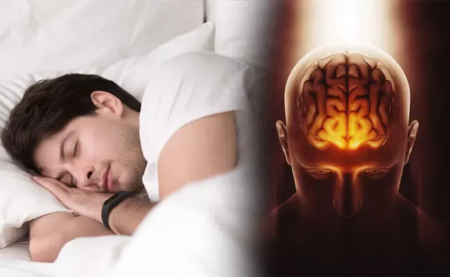 ಮಧ್ಯವಯಸ್ಸಿನಲ್ಲಿ ಕಡಿಮೆ ನಿದ್ರೆಯಿಂದ ಮಿದುಳಿಗೆ ಬೇಗ ವಯಸ್ಸಾಗುತ್ತದೆ: ಅಧ್ಯಯನ ವರದಿ ಮಧ್ಯವಯಸ್ಸಿನಲ್ಲಿ ಕಡಿಮೆ ನಿದ್ರೆಯಿಂದ ಮಿದುಳಿಗೆ ಬೇಗ ವಯಸ್ಸಾಗುತ್ತದೆ: ಅಧ್ಯಯನ ವರದಿ