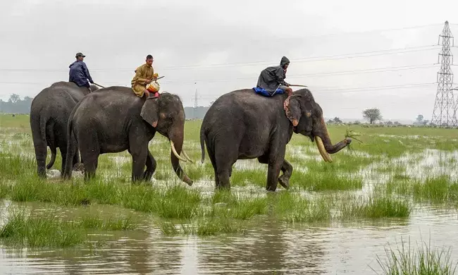 2024ರ ಜಾಗತಿಕ ಪ್ರಕೃತಿ ಸಂರಕ್ಷಣೆ ಸೂಚ್ಯಂಕ |180 ದೇಶಗಳಲ್ಲಿ ಭಾರತಕ್ಕೆ 176ನೇ ಸ್ಥಾನ