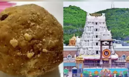 ತಮಿಳುನಾಡು ಡೈರಿಯಿಂದ ತಿರುಪತಿ ಲಡ್ಡುಗೆ ಬಳಸಲಾಗಿರುವ ಕಲಬೆರಕೆ ತುಪ್ಪ ಸರಬರಾಜಾಗಿಲ್ಲ : ವರದಿ