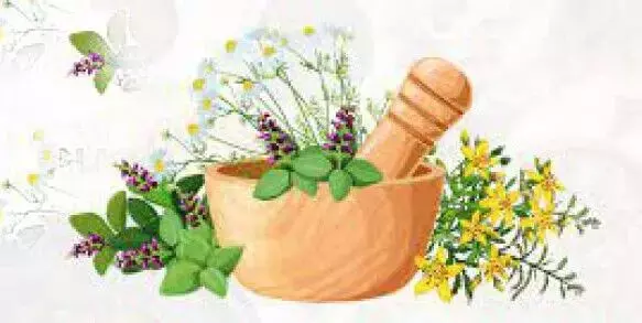 ಅ.29ರಂದು ರಾಷ್ಟ್ರೀಯ ಆಯುರ್ವೇದ ದಿನಾಚರಣೆ ಅ.29ರಂದು ರಾಷ್ಟ್ರೀಯ ಆಯುರ್ವೇದ ದಿನಾಚರಣೆ