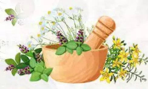 ಅ.29ರಂದು ರಾಷ್ಟ್ರೀಯ ಆಯುರ್ವೇದ ದಿನಾಚರಣೆ