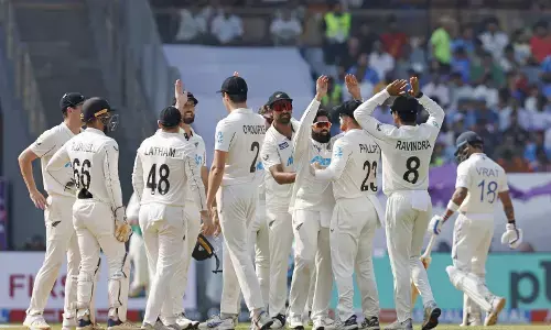 New zeland crickers celebrating