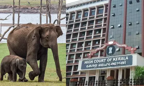 Photo of KERTALA HIGH COURT