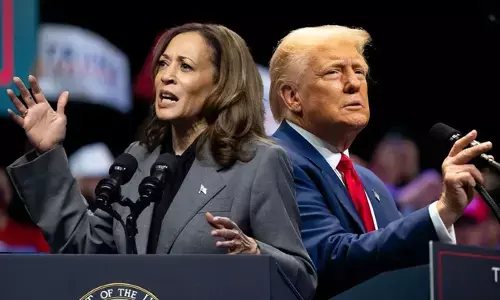 Photo of Donald trump, kamala harris