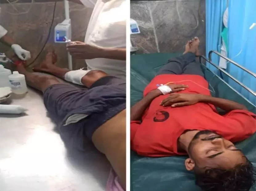 ಬಾಳೆಹೊನ್ನೂರು | ಕಾಡುಕೋಣ ದಾಳಿ : ಇಬ್ಬರಿಗೆ ಗಂಭೀರ ಗಾಯ ಬಾಳೆಹೊನ್ನೂರು | ಕಾಡುಕೋಣ ದಾಳಿ : ಇಬ್ಬರಿಗೆ ಗಂಭೀರ ಗಾಯ