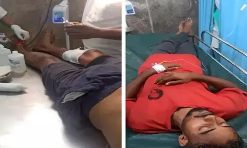 ಬಾಳೆಹೊನ್ನೂರು | ಕಾಡುಕೋಣ ದಾಳಿ : ಇಬ್ಬರಿಗೆ ಗಂಭೀರ ಗಾಯ