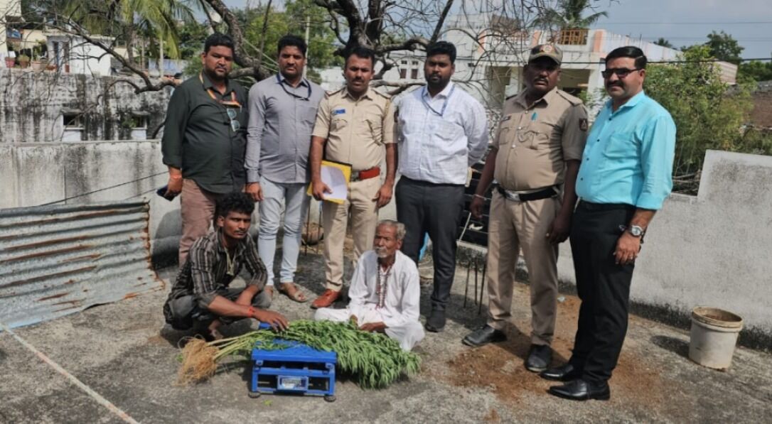 ಯಾದಗಿರಿ | ಮನೆಯ ಟೆರೇಸ್ ಮೇಲೆ ಗಾಂಜಾ ಬೆಳೆದಿದ್ದ ಆರೋಪಿಯ ಬಂಧನ