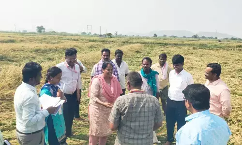 Photo of Dr.Sushila.B