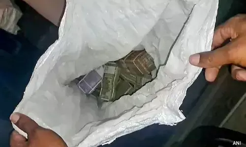 ಸಗಣಿ ರಾಶಿಯಲ್ಲಿ ರೂ. 20 ಲಕ್ಷಕ್ಕೂ ಹೆಚ್ಚು ನಗದು ಪತ್ತೆ!