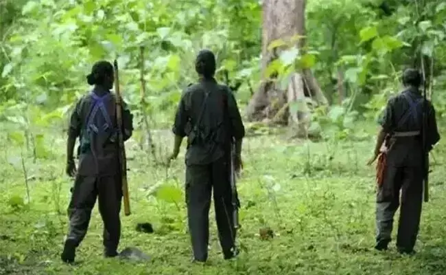 Representative Image of  Naxals