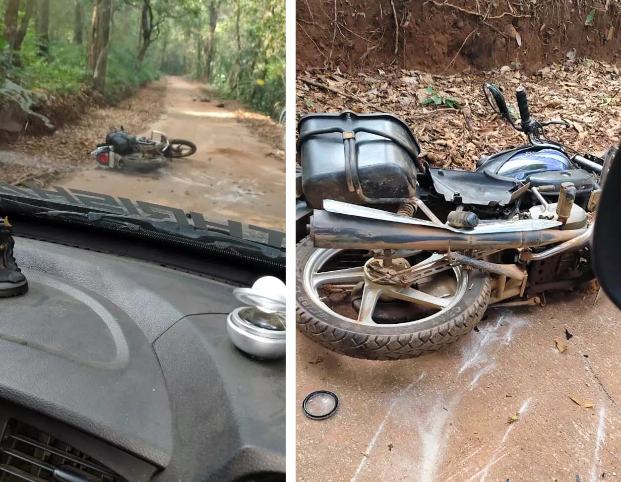 ಬೆಳ್ತಂಗಡಿ | ಮಕ್ಕಳನ್ನು ಬೈಕಿನಲ್ಲಿ ಶಾಲೆಗೆ ಕರೆದೊಯ್ಯುತ್ತಿದ್ದ ವೇಳೆ ಕಾಡಾನೆ ದಾಳಿ