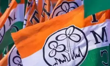 PHOTO OF TMC FLAG