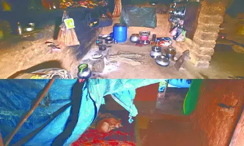 Photo of  Peethbailu