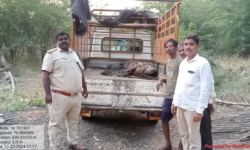 ಯಾದಗಿರಿ | ಹುಲಿಕಲ್ ಕೆ. ಹಳ್ಳದಲ್ಲಿ ಮೊಸಳೆ ಪ್ರತ್ಯಕ್ಷ