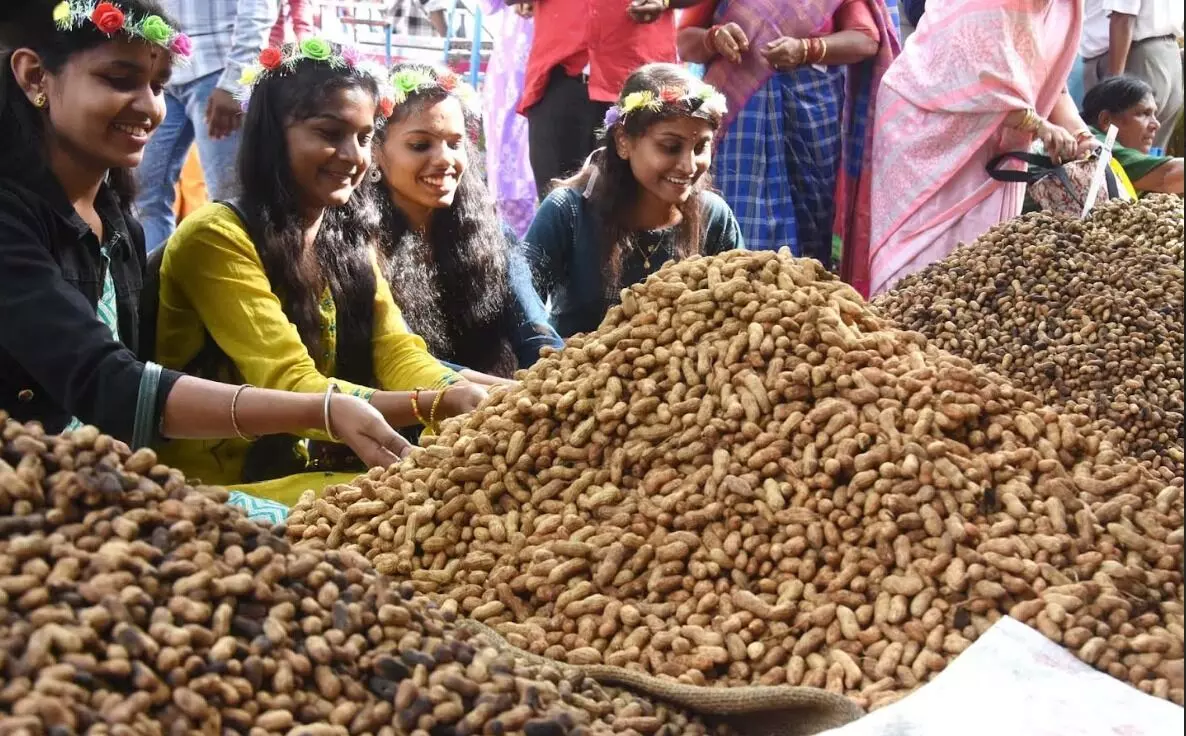 ಬೆಂಗಳೂರು | ಕಡೆಲೆಕಾಯಿ ಪರಿಷೆ : ಮೊದಲ ದಿನವೇ ವ್ಯಾಪಾರ ಜೋರು ಬೆಂಗಳೂರು | ಕಡೆಲೆಕಾಯಿ ಪರಿಷೆ : ಮೊದಲ ದಿನವೇ ವ್ಯಾಪಾರ ಜೋರು