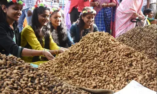 ಬೆಂಗಳೂರು | ಕಡೆಲೆಕಾಯಿ ಪರಿಷೆ : ಮೊದಲ ದಿನವೇ ವ್ಯಾಪಾರ ಜೋರು