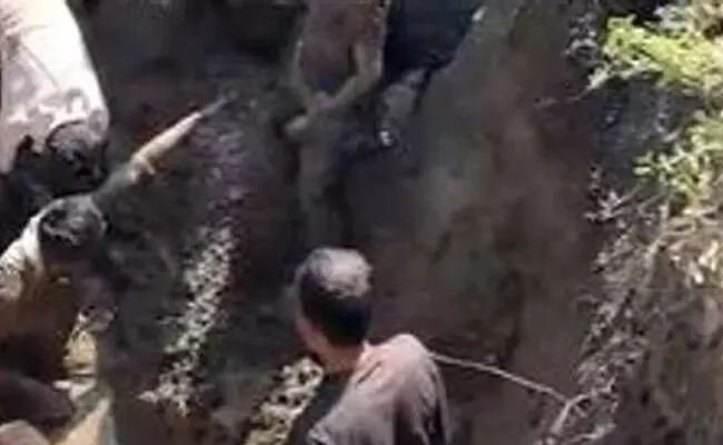 Photo of IIT-Delhi PhD scholar dies