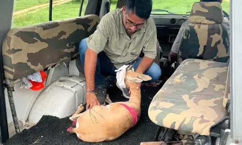 ರಾಜಸ್ಥಾನ | ವನ್ಯಜೀವಿ ಸಂರಕ್ಷಿಸುತ್ತಿರುವ ಆಧುನಿಕ ಶ್ರವಣ ಕುಮಾರ