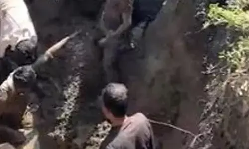 Photo of IIT-Delhi PhD scholar dies