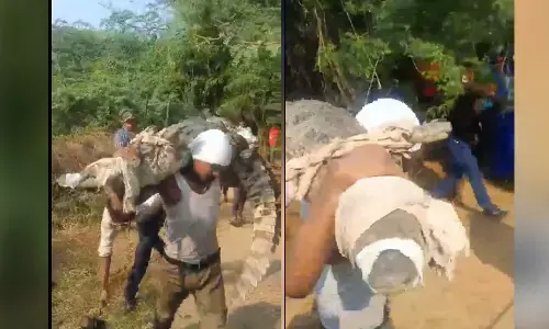 Photo of  carrying the crocodile.