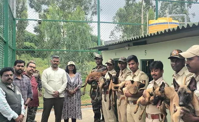 ಕರ್ನಾಟಕದ ಹುಲಿ ಸಂರಕ್ಷಿತಾರಣ್ಯಗಳಲ್ಲಿ ವನ್ಯಜೀವಿ ಅಪರಾಧ ತಡೆಗೆ ಶ್ವಾನಪಡೆ ನಿಯೋಜನೆ!