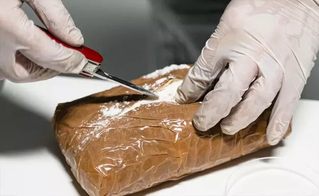 ದಿಲ್ಲಿ | 2.5 ಕೋಟಿ ರೂ.ಮೌಲ್ಯದ ಹೆರಾಯಿನ್ ವಶ, ಮಹಿಳೆ ಸೇರಿದಂತೆ ಇಬ್ಬರ ಬಂಧನ