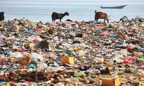 ಭೂಮಿ, ಸಾಗರದಲ್ಲೂ ತುಂಬಿರುವ ಪ್ಲಾಸ್ಟಿಕ್ ತ್ಯಾಜ್ಯ