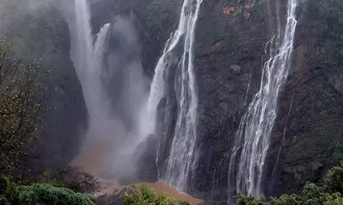 ಶಿವಮೊಗ್ಗ | ಜೋಗ ಜಲಪಾತ ಪ್ರವೇಶಕ್ಕೆ ಮೂರು ತಿಂಗಳ ಕಾಲ ನಿರ್ಬಂಧ