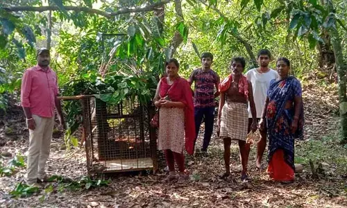 ಕುಂದಾಪುರ ತಾಲೂಕಿನ ವಿವಿಧೆಡೆ ಚಿರತೆ ಪ್ರತ್ಯಕ್ಷ; ಬೋನು ಅಳವಡಿಸಿದ  ಅರಣ್ಯ ಇಲಾಖೆ