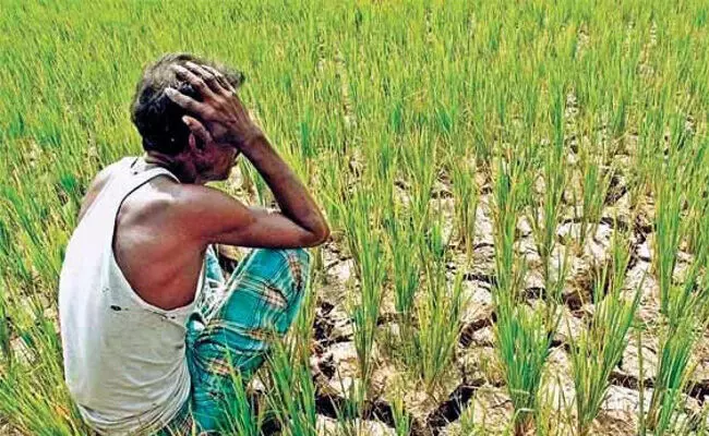 ರಾಜಸ್ಥಾನ | ಆತ್ಮಹತ್ಯೆ ಮಾಡಿಕೊಳ್ಳುವುದಾಗಿ ಬೆದರಿಕೆ ಒಡ್ಡಿದ್ದ ರೈತನಿಗೆ 9.9 ಲಕ್ಷ ರೂ. ಮೊತ್ತದ ಭದ್ರತಾ ವೆಚ್ಚ ನೋಟಿಸ್ ನೀಡಿದ ಪೊಲೀಸರು!