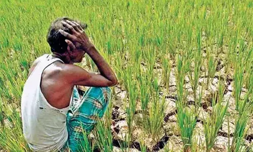 ರಾಜಸ್ಥಾನ | ಆತ್ಮಹತ್ಯೆ ಮಾಡಿಕೊಳ್ಳುವುದಾಗಿ ಬೆದರಿಕೆ ಒಡ್ಡಿದ್ದ ರೈತನಿಗೆ 9.9 ಲಕ್ಷ ರೂ. ಮೊತ್ತದ ಭದ್ರತಾ ವೆಚ್ಚ ನೋಟಿಸ್ ನೀಡಿದ ಪೊಲೀಸರು!