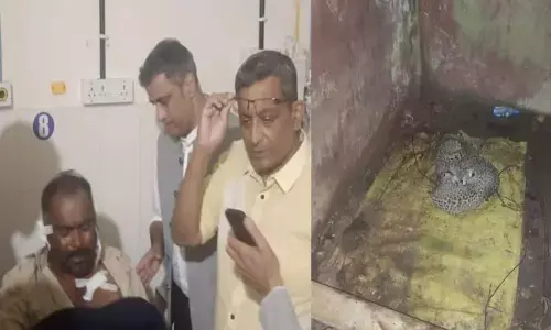 ಪೊನ್ನಂಪೇಟೆಯಲ್ಲಿ ನಡೆದಿದ್ದು ಕಾಡು ಬೆಕ್ಕಿನ ದಾಳಿ!