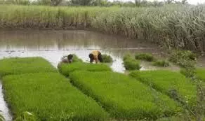 ಸಮಗ್ರ ಕೃಷಿ ಪದ್ಧತಿ ತರಬೇತಿ ಸಮಗ್ರ ಕೃಷಿ ಪದ್ಧತಿ ತರಬೇತಿ