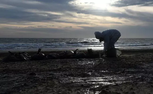 Russian Black Sea Oil