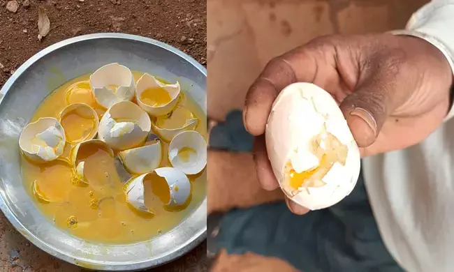 ಬೀದರ್ | ಸರಕಾರಿ ಶಾಲೆಯಲ್ಲಿ ಕೊಳೆತ ಮೊಟ್ಟೆ ವಿತರಣೆ ಆರೋಪ; ವಿದ್ಯಾರ್ಥಿಗಳಿಗೆ ಹೊಟ್ಟೆನೋವು